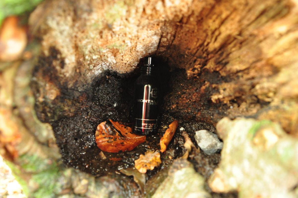 عطر ادکلن گریلند مونتاله - Greyland Montale - بررسی، قیمت و خرید