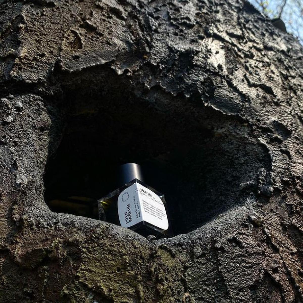 عطر ادکلن آرانیاکا پرین پرفیوم - Aranyaka Pryn Parfum - بررسی، قیمت و خرید