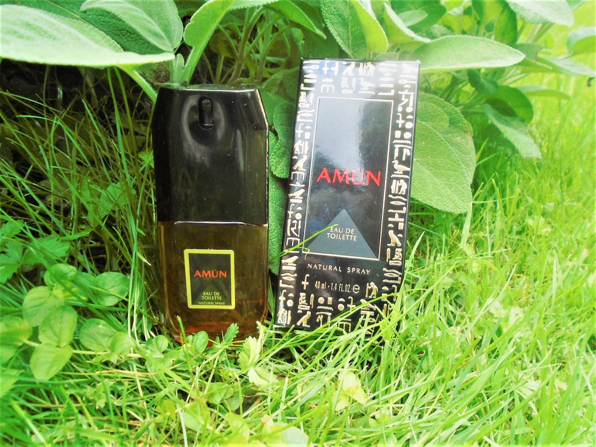 عطر ادکلن امون مولنز - Amun Muelhens - بررسی، قیمت و خرید