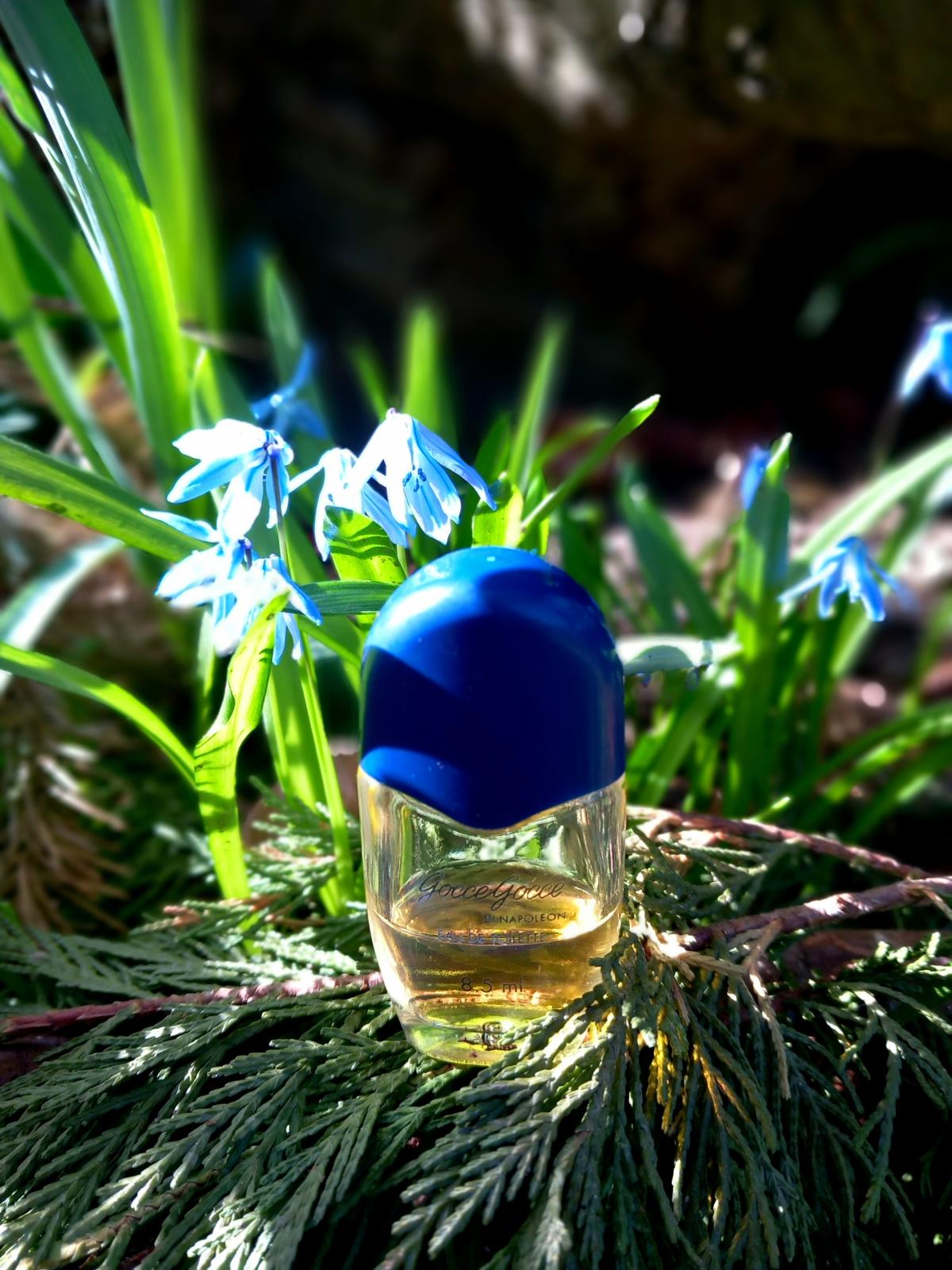 عطر ادکلن گوچه گوچه دی ناپلئون موریس - Gocce Gocce di Napoleon Morris - بررسی، قیمت و خرید