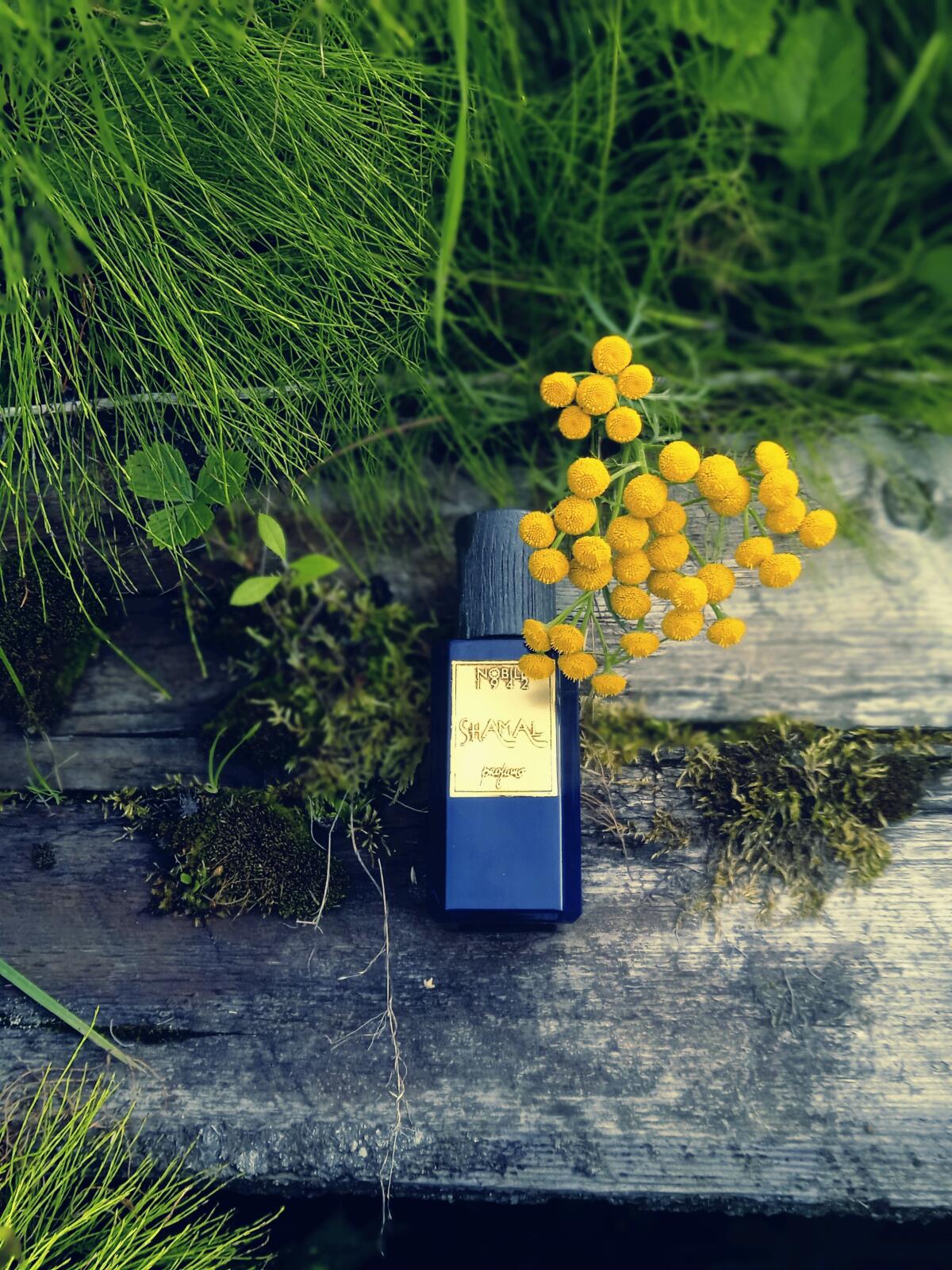 عطر ادکلن شمال نوبیل ۱۹۴۲ - Shamal Nobile 1942 - بررسی، قیمت و خرید