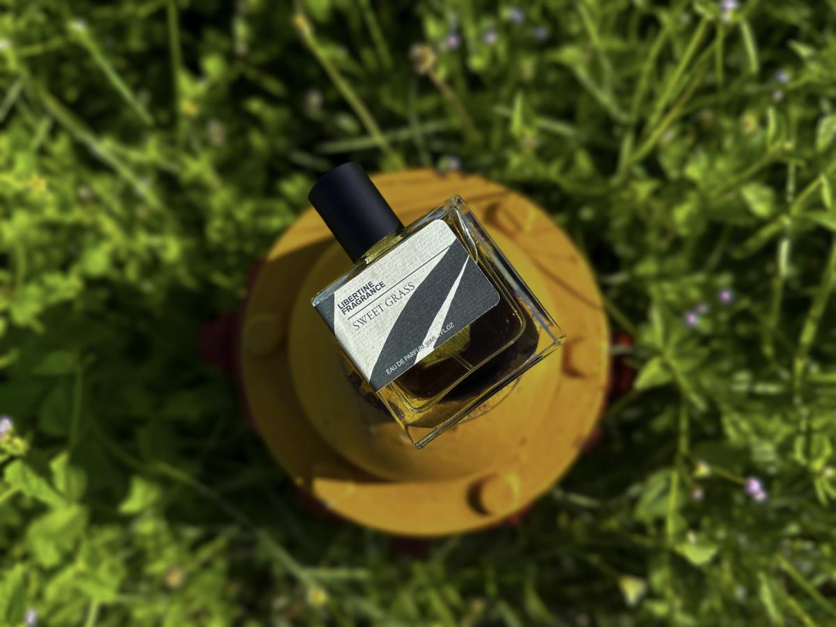 عطر ادکلن سوییت گرس پرافرِیز - Sweet Grass Paraphrase - بررسی، قیمت و خرید
