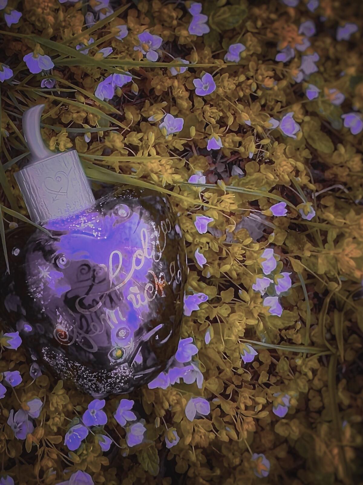 عطر ادکلن استار داست میدنایت فراگرنس لولیتا لمپیکا - Star Dust Midnight Fragrance Lolita Lempicka - بررسی، قیمت و خرید