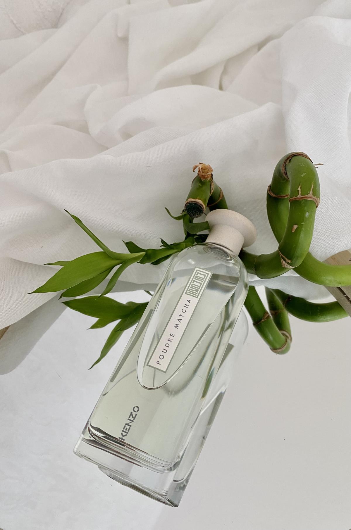 عطر ادکلن پودر ماچا کنزو - Poudre Matcha Kenzo - بررسی، قیمت و خرید