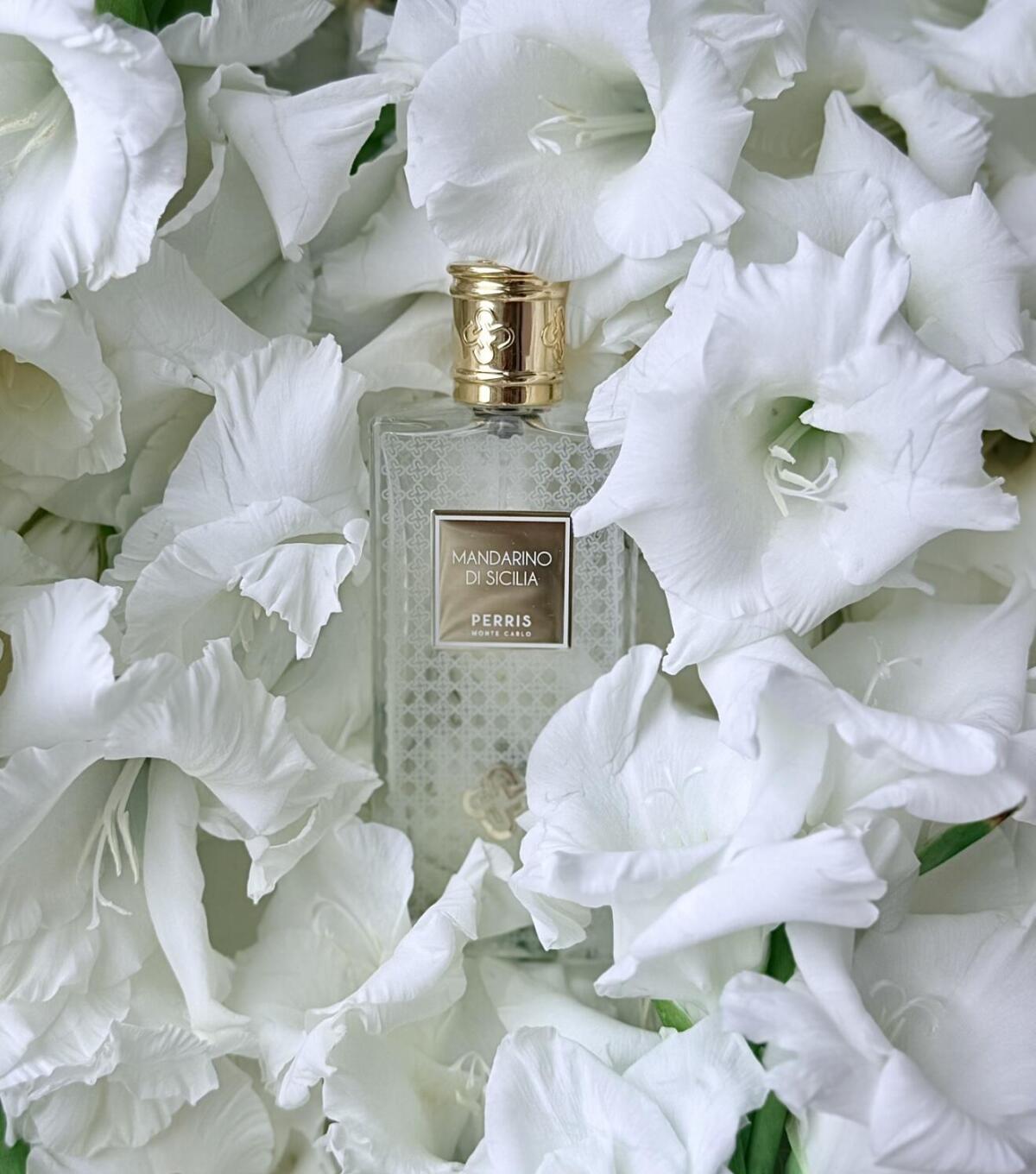 عطر ادکلن ماندارینو دی سیسیلیا پریس مونت کارلو - Mandarino di Sicilia Perris Monte Carlo - بررسی، قیمت و خرید