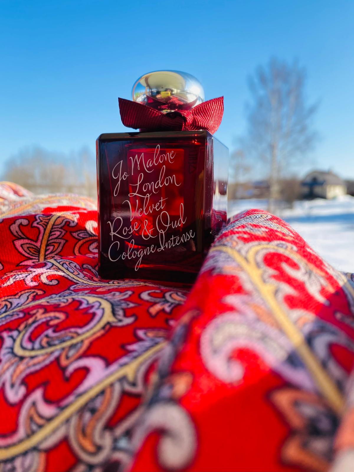 عطر ادکلن ولوت رز اند عود کلون اینتنس جو مالون لندن - Velvet Rose & Oud Cologne Intense Jo Malone London - بررسی، قیمت و خرید