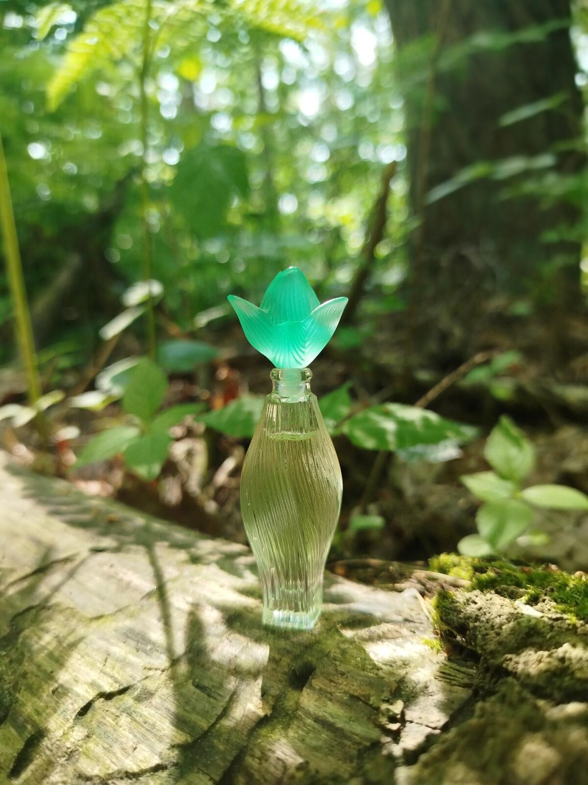 عطر ادکلن نیلانگ لالیک - Nilang Lalique - بررسی، قیمت و خرید