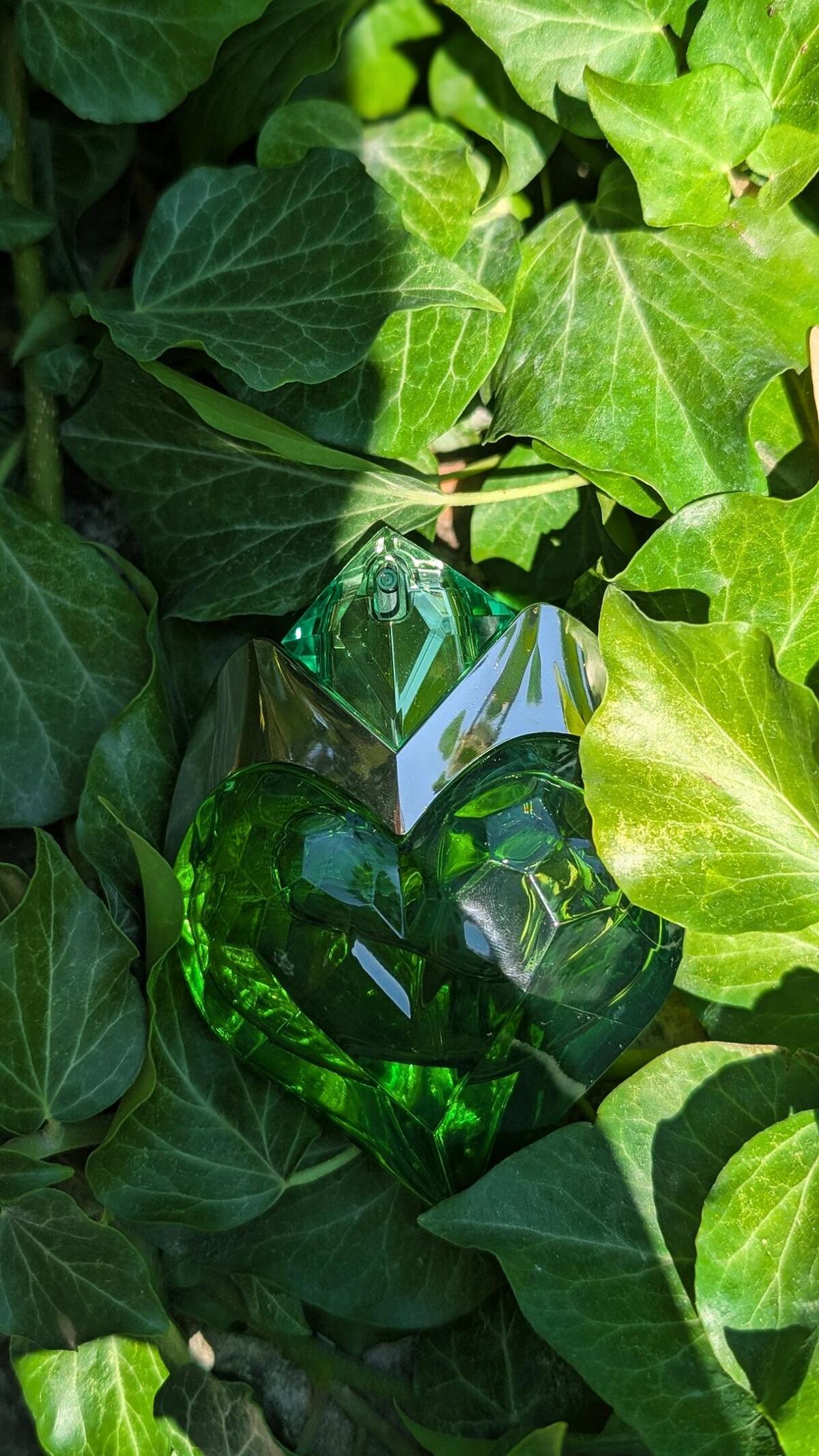 عطر ادکلن اُرا موگلر ا دو تویلت ماگلر - Aura Mugler Eau de Toilette Mugler - بررسی، قیمت و خرید