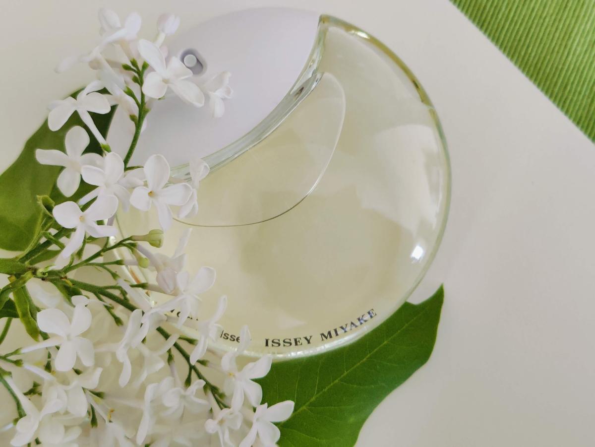 عطر ادکلن آ دراپ دیسه ایسه میاکه - A Drop d'Issey Issey Miyake - بررسی، قیمت و خرید