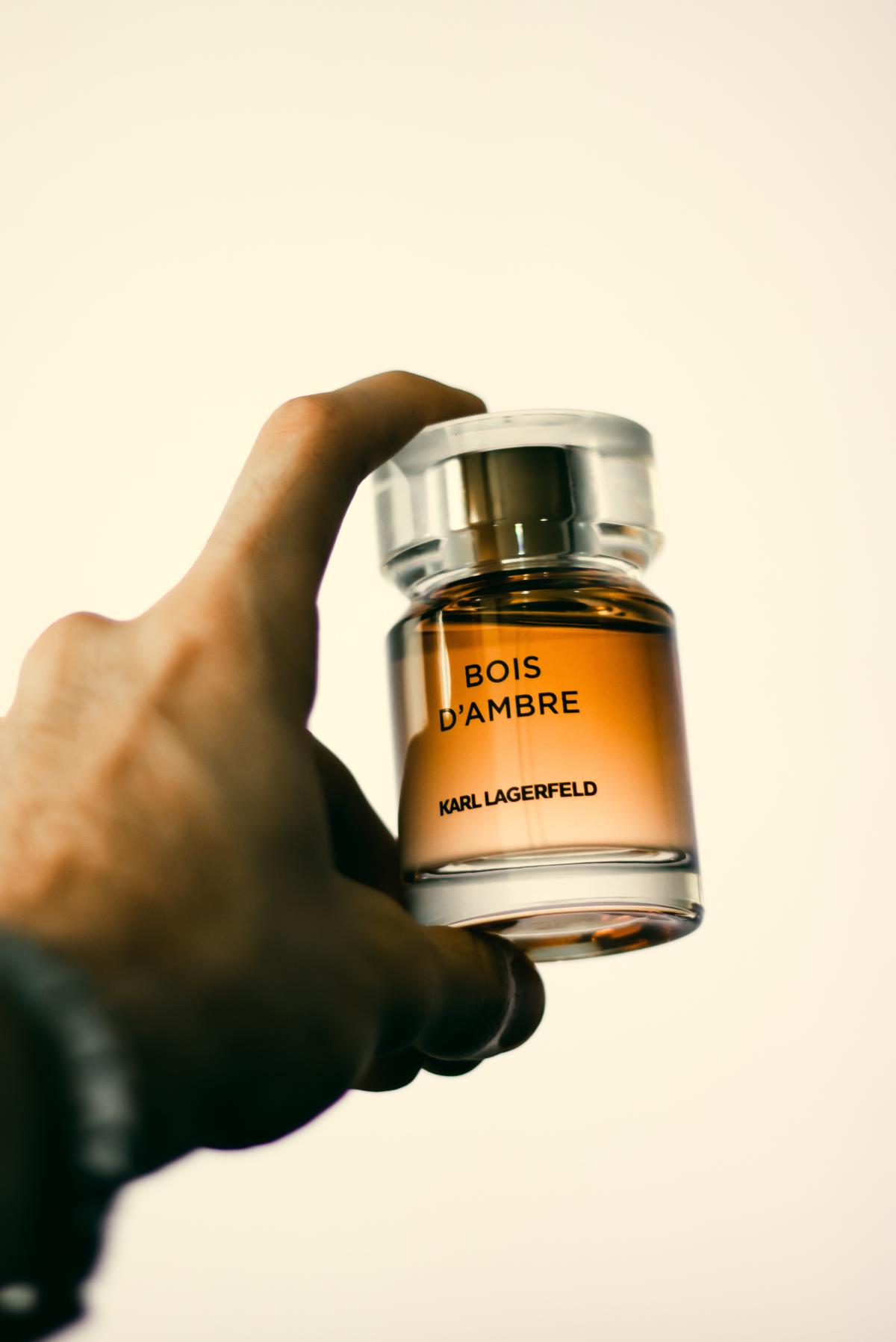 عطر ادکلن بوا دامبر کارل لاگرفلد - Bois d'Ambre Karl Lagerfeld - بررسی، قیمت و خرید