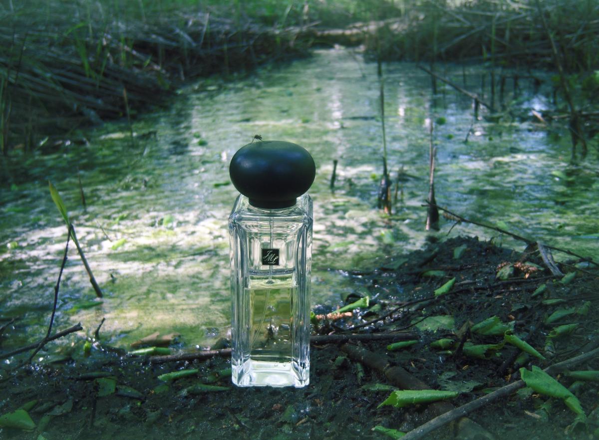 عطر ادکلن دارجلینگ تی جو مالون لندن - Darjeeling Tea Jo Malone London - بررسی، قیمت و خرید