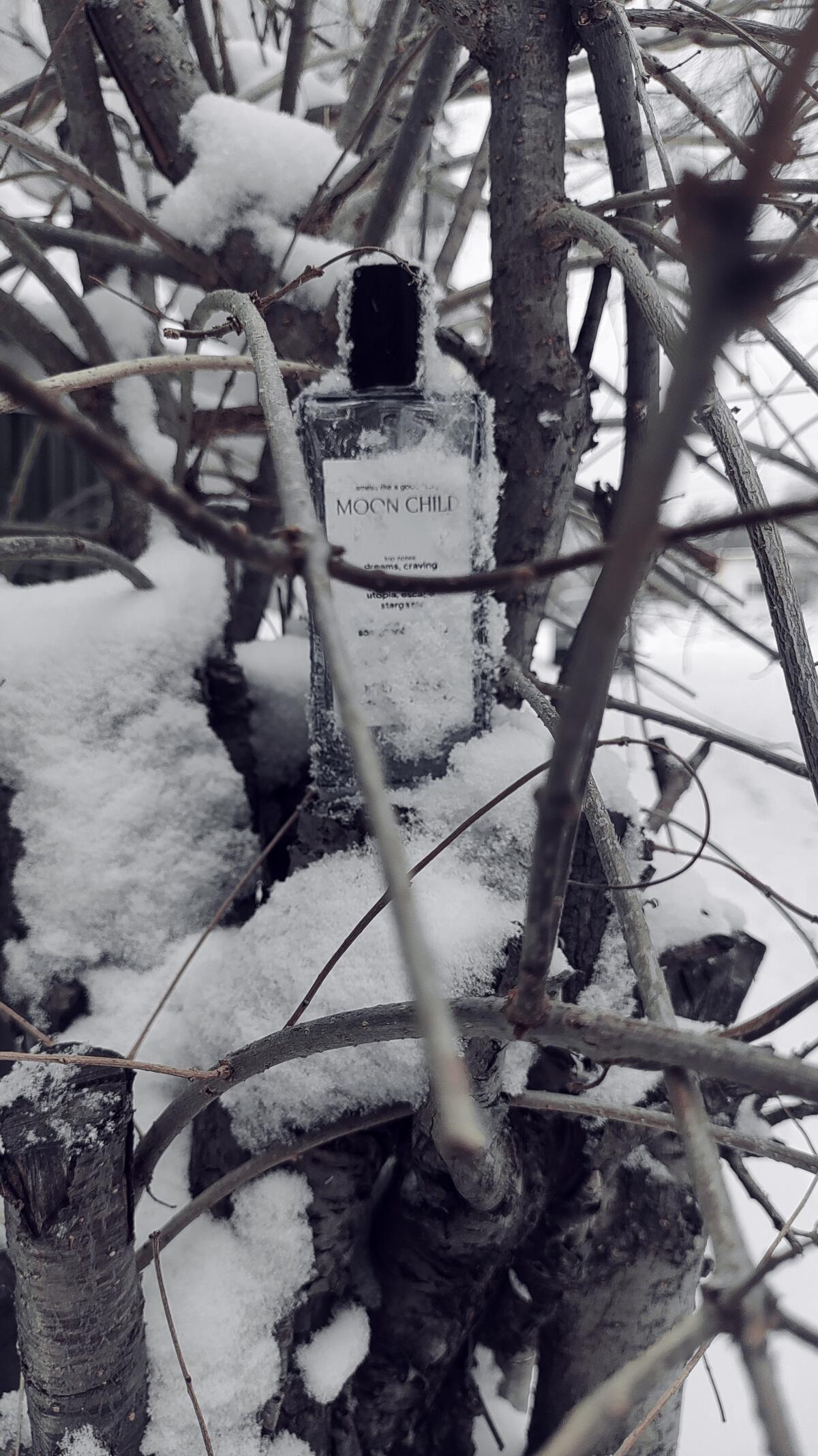 عطر ادکلن مون چایلد نوس رپابلیک - Moon Child Nos Republic - بررسی، قیمت و خرید