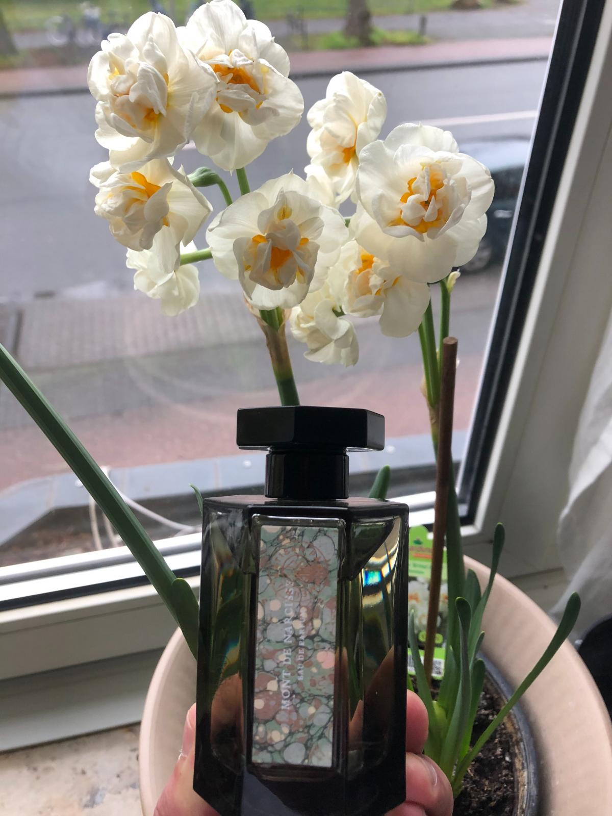 عطر ادکلن موند دِ نارسيس لرتیزان پرفیومر - Mont de Narcisse L'Artisan Parfumeur - بررسی، قیمت و خرید