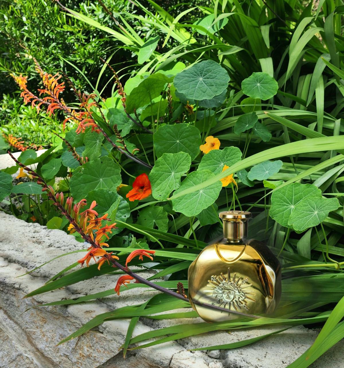 عطر ادکلن لِه اُرز دِ وِرسال پُور اِل پارفوم دو شاتو دو ورسای - Les Ors Des Versailles Pour Elle Parfums du Château de Versailles - بررسی، قیمت و خرید