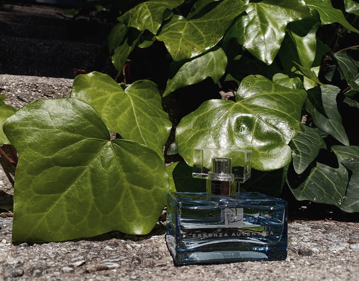 عطر ادکلن پاگلری اسنزا اوتنتیکا پاگلیری - Paglieri Essenza Autentica Paglieri - بررسی، قیمت و خرید