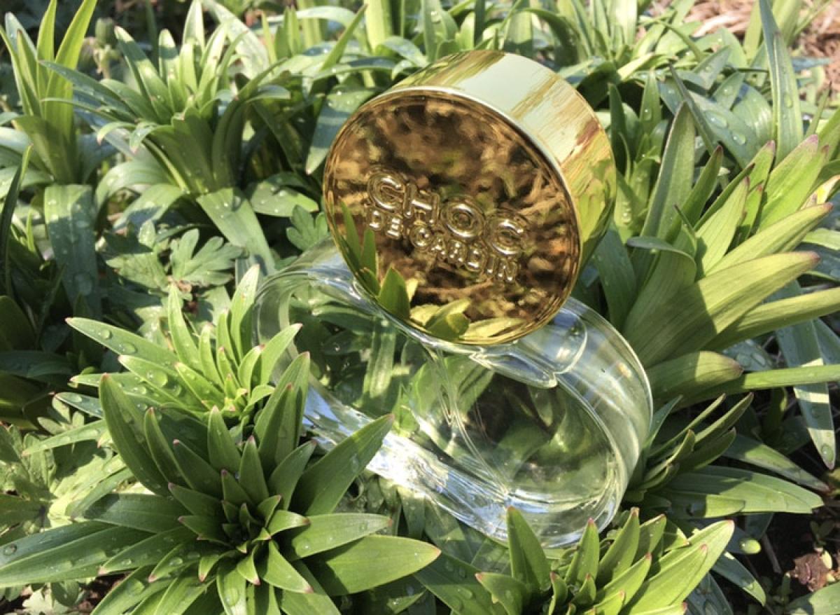 عطر ادکلن شوک د کاردن پیِر کاردَن - Choc de Cardin Pierre Cardin - بررسی، قیمت و خرید