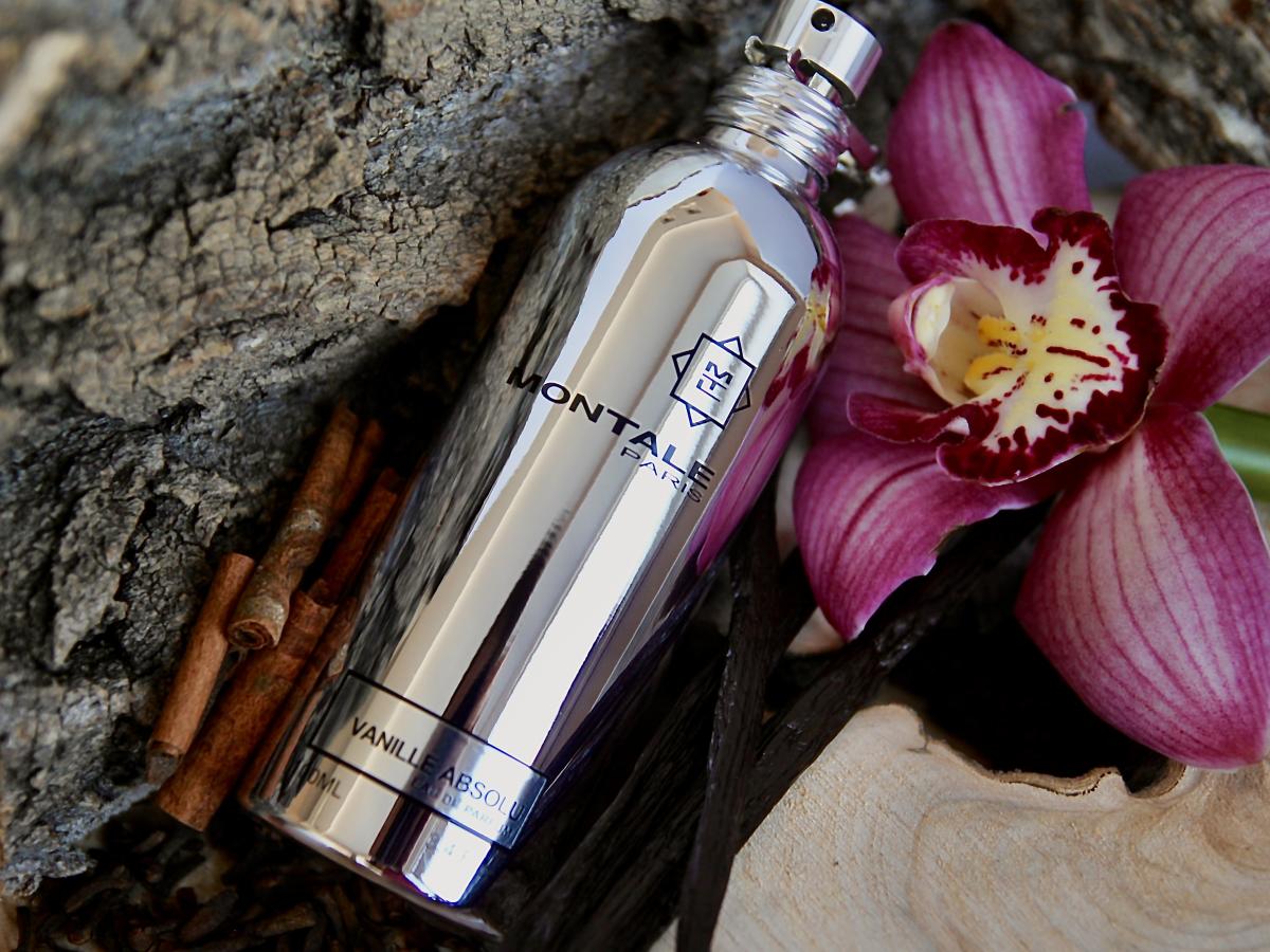 عطر ادکلن وانیل ابسولو مونتال - Vanille Absolu Montale - بررسی، قیمت و خرید
