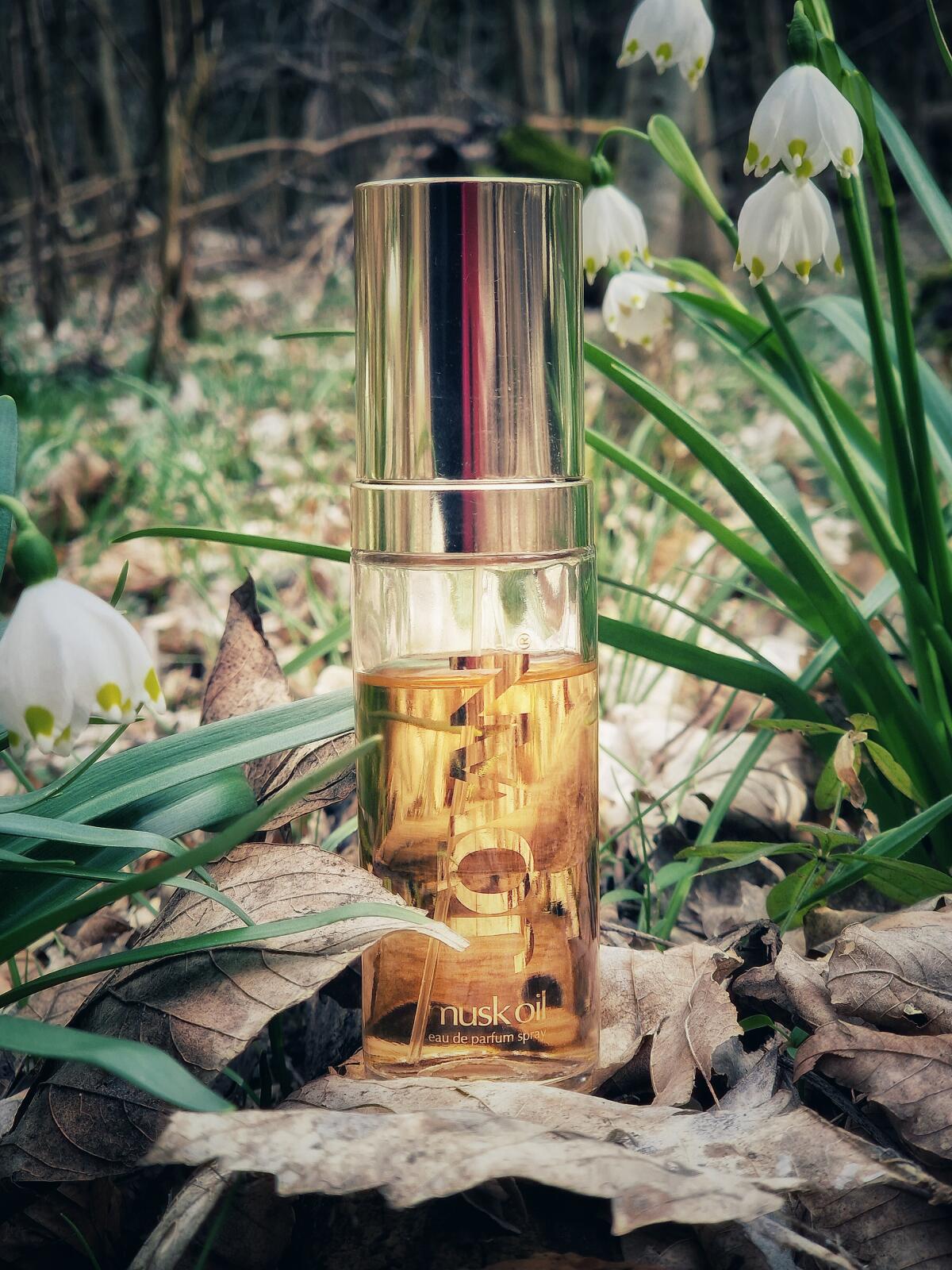 عطر ادکلن ماسک ژوان - Musk Jovan - بررسی، قیمت و خرید