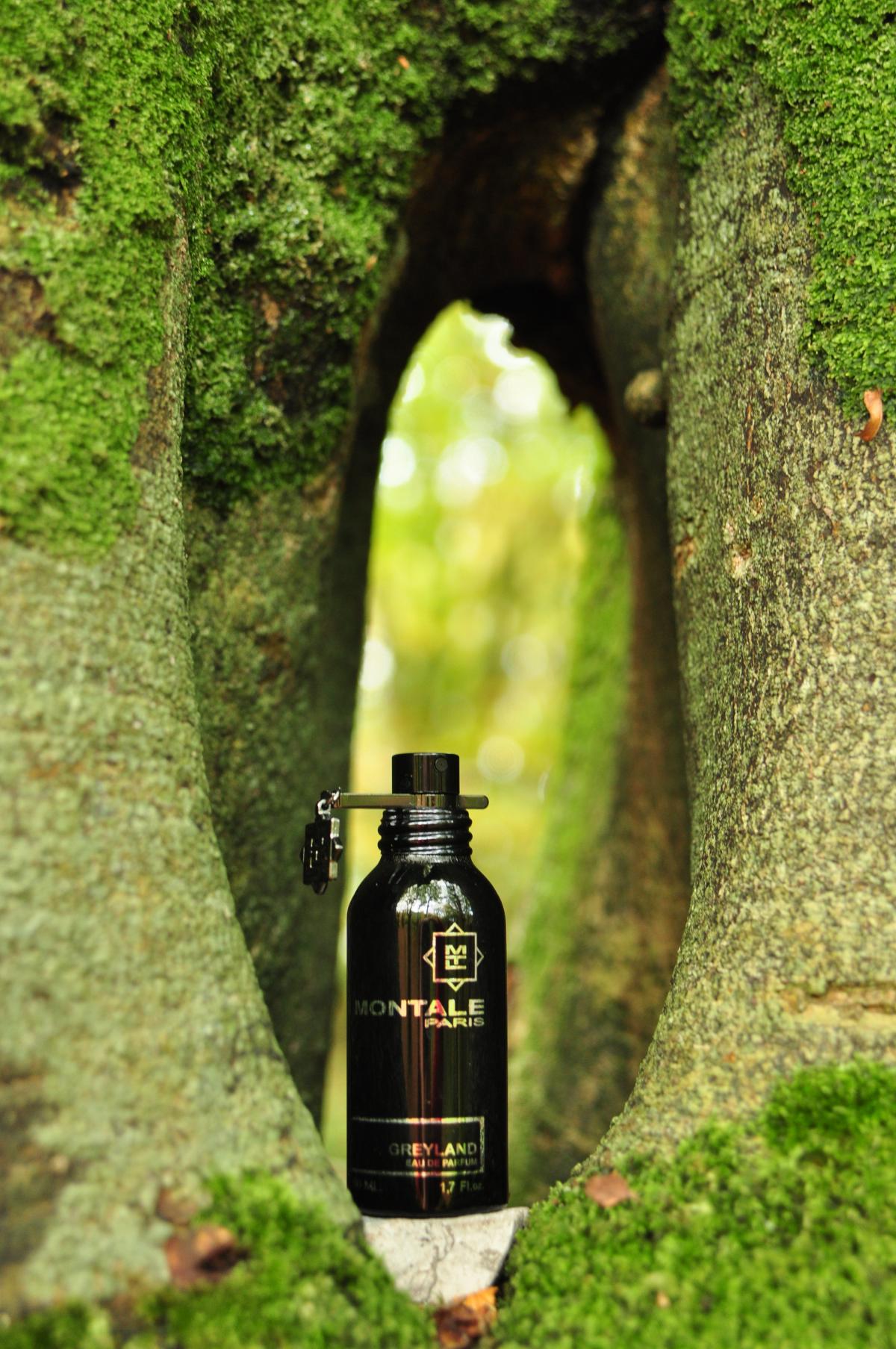 عطر ادکلن گریلند مونتاله - Greyland Montale - بررسی، قیمت و خرید