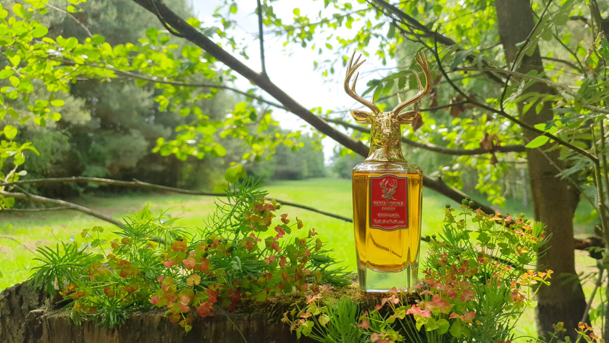 عطر ادکلن کروپ او شل پانادورا - Kropp Och Själ Pana Dora - بررسی، قیمت و خرید