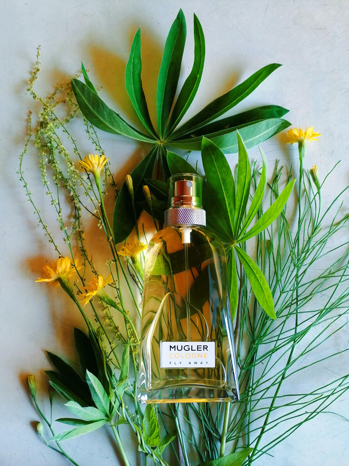 عطر ادکلن ماگلر کلن فلای اوی ماگلر - Mugler Cologne Fly Away Mugler - بررسی، قیمت و خرید