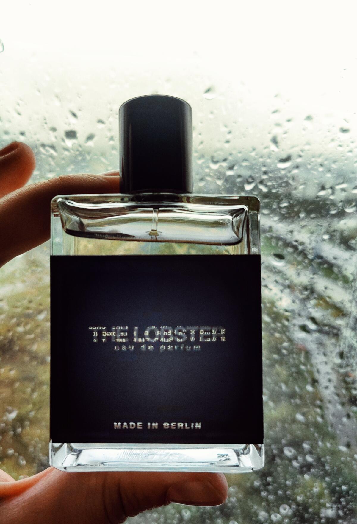 عطر ادکلن د لابستر ماث اند ربت پرفیومز - The Lobster Moth and Rabbit Perfumes - بررسی، قیمت و خرید
