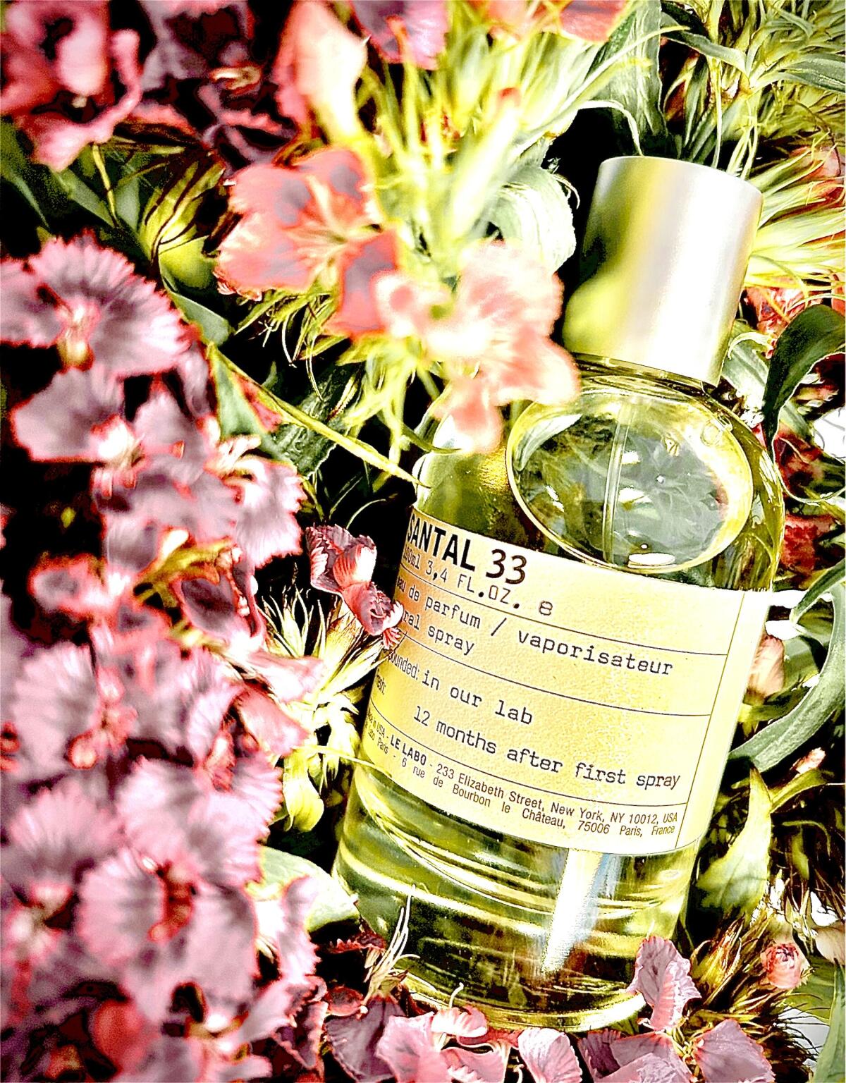 عطر ادکلن سنتر سی و سه له لابو - Santal 33 Le Labo - بررسی، قیمت و خرید