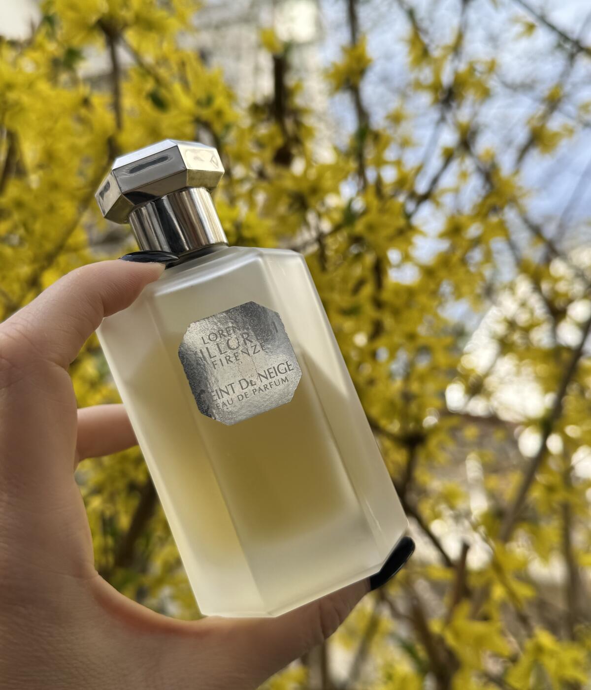 عطر ادکلن ته د نژ او دو پرفیوم لورنتزو ویلورزی - Teint de Neige Eau de Parfum Lorenzo Villoresi - بررسی، قیمت و خرید