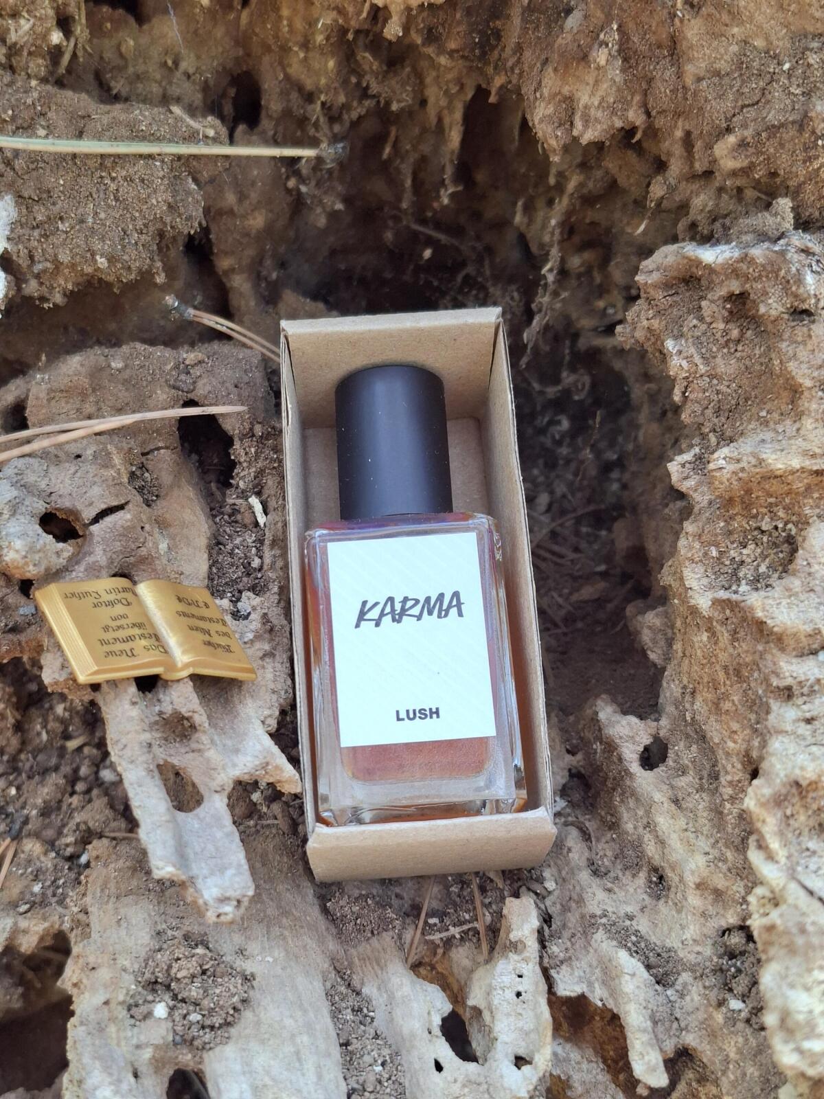 عطر ادکلن کارما لاش - Karma Lush - بررسی، قیمت و خرید
