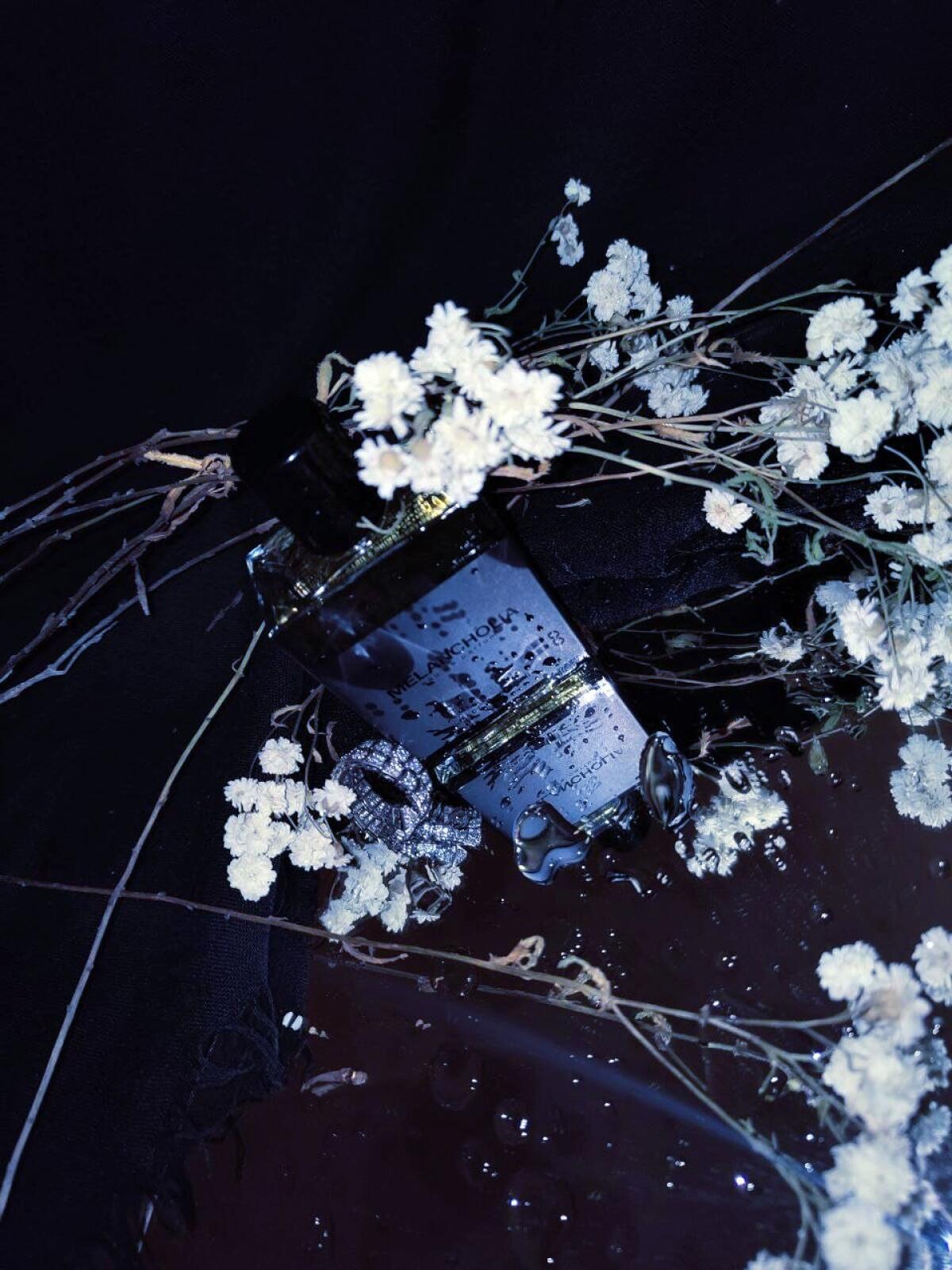 عطر ادکلن ملانکولیا ماث اند ربیت پرفیومز - Melancholia Moth and Rabbit Perfumes - بررسی، قیمت و خرید