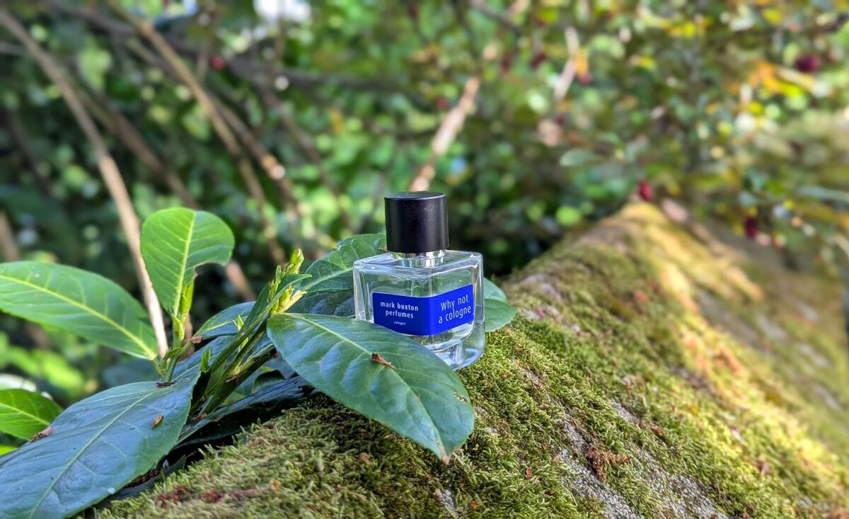 عطر ادکلن وای نات ا کلون مارک باکستون - Why Not A Cologne Mark Buxton - بررسی، قیمت و خرید