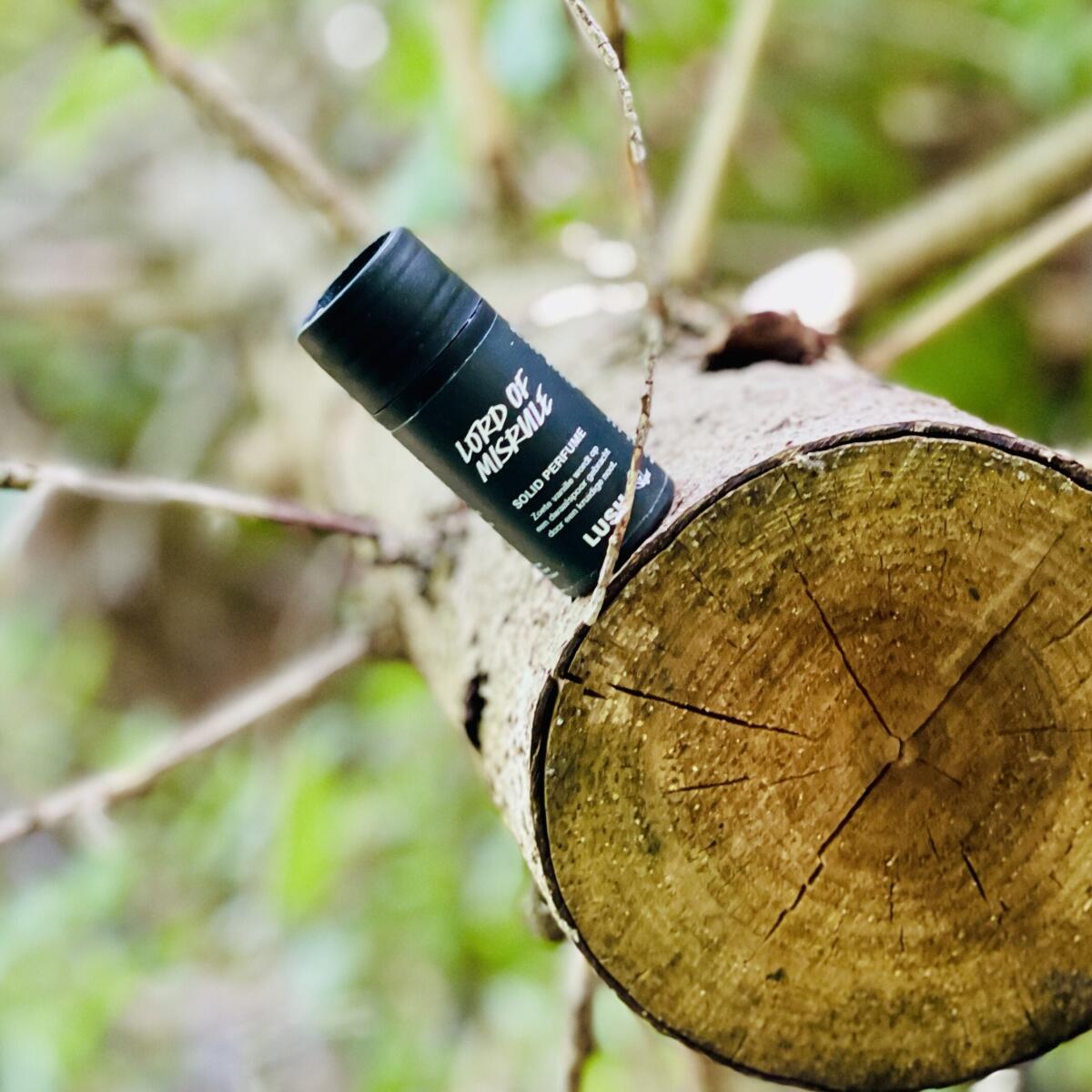 عطر ادکلن لرد آو میس‌رول لاش - Lord of Misrule Lush - بررسی، قیمت و خرید