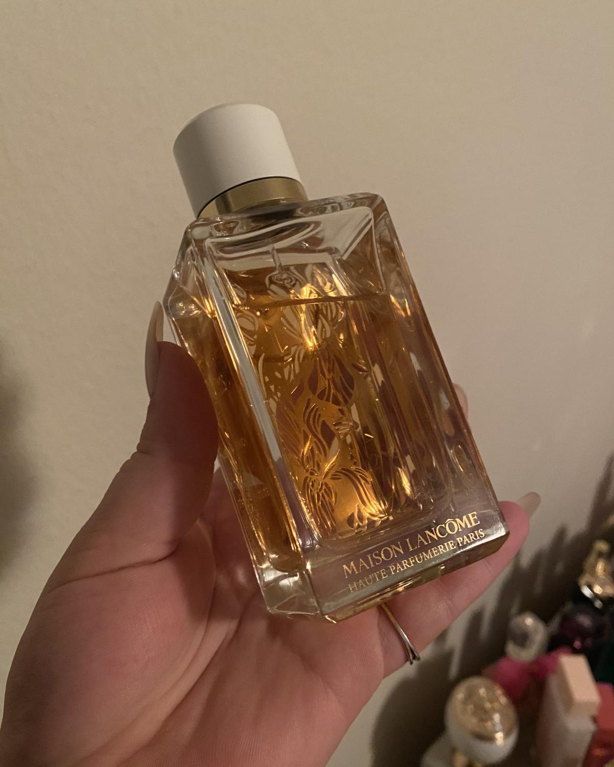 عطر ادکلن آیریس دراژه لانکوم - Iris Dragées Lancôme - بررسی، قیمت و خرید