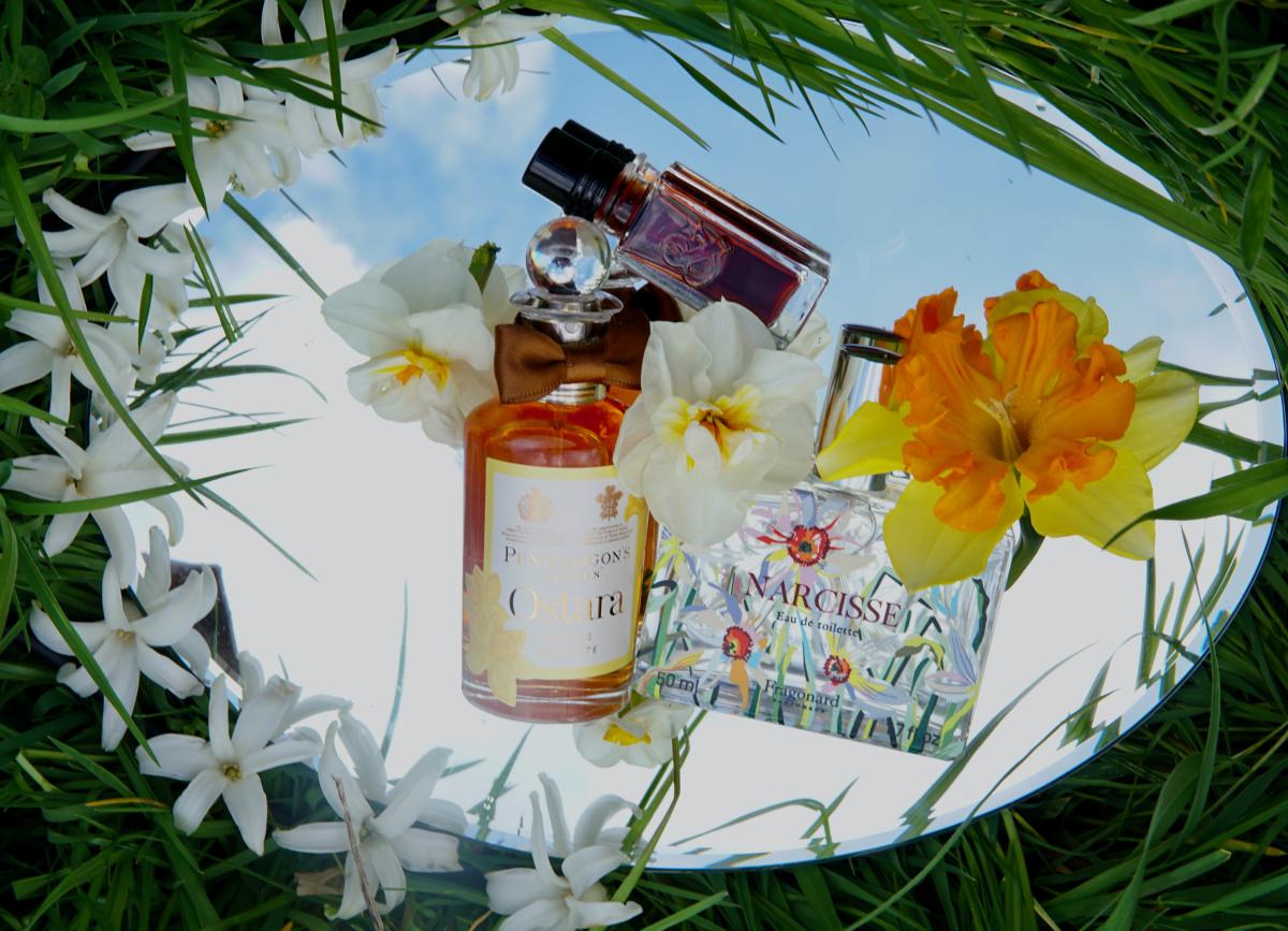 عطر ادکلن اوستارا پنالیگونز - Ostara Penhaligon's - بررسی، قیمت و خرید