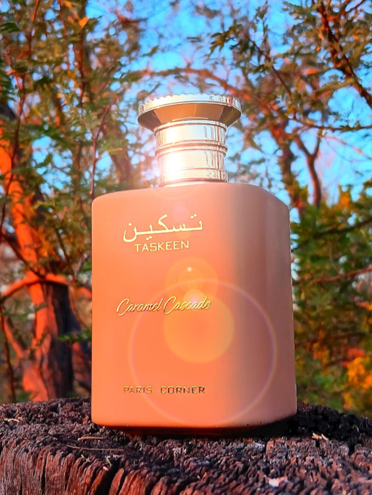 عطر ادکلن تسکین کارامل کاسکاد پاریس کورنر - Taskeen Caramel Cascade PARIS CORNER - بررسی، قیمت و خرید