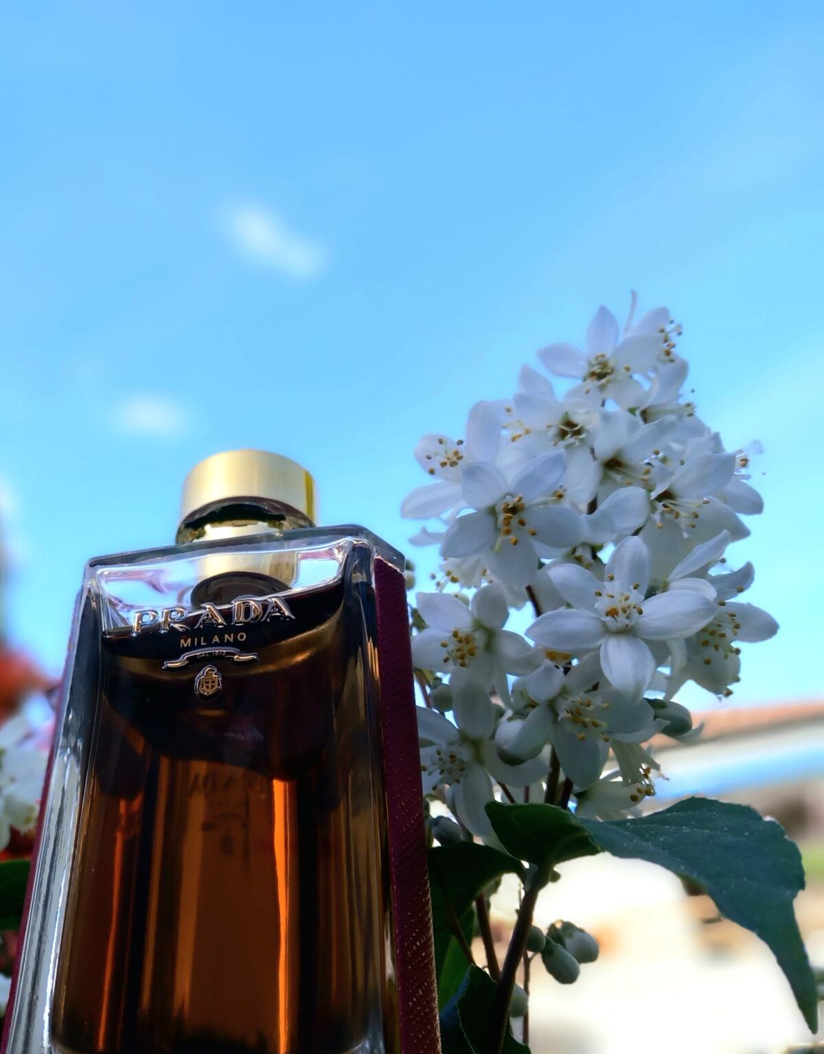عطر ادکلن پرادا لا فم اینتنس پرادا - Prada La Femme Intense Prada - بررسی، قیمت و خرید