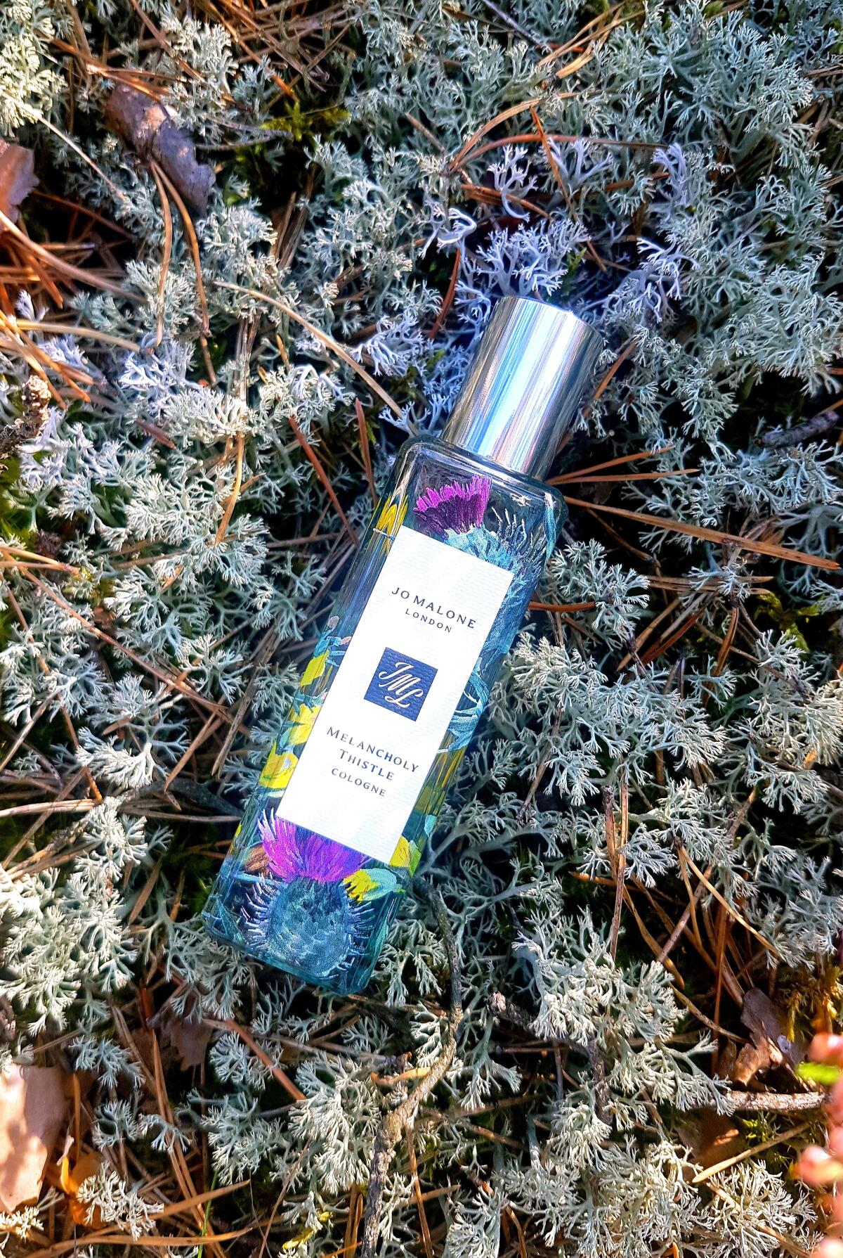 عطر ادکلن ملانکولی تیستل جو مالون لندن - Melancholy Thistle Jo Malone London - بررسی، قیمت و خرید