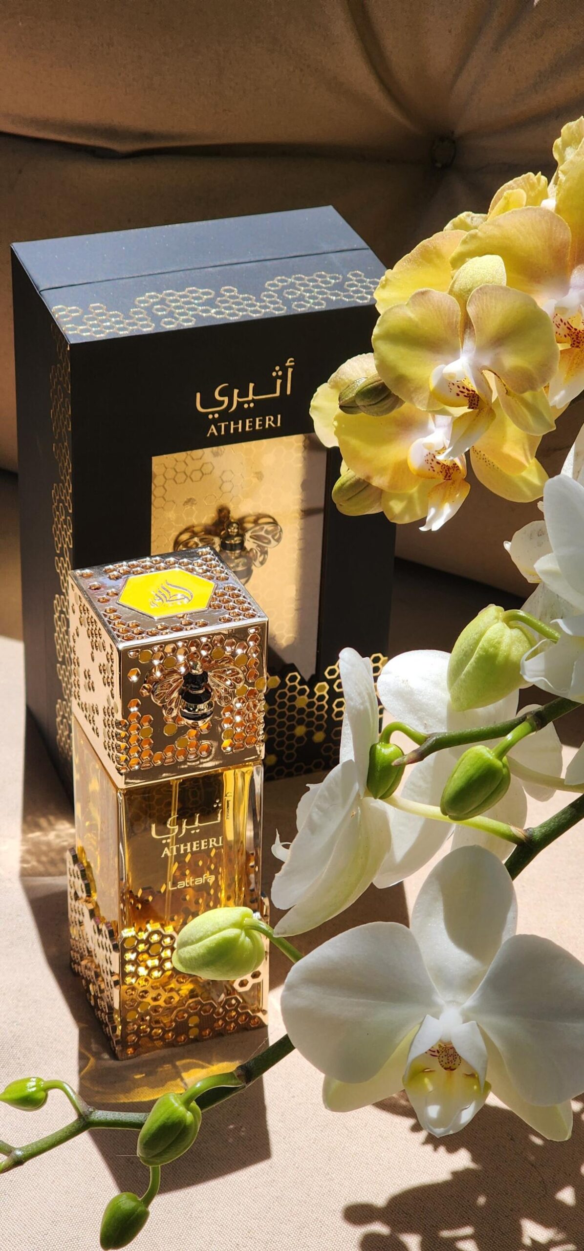 عطر ادکلن اتیری لتافا پرفیومز - Atheeri Lattafa Perfumes - بررسی، قیمت و خرید