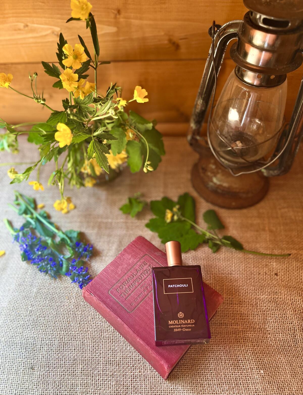 عطر ادکلن پچولی ادو پرفیوم مولینارد - Patchouli Eau de Parfum Molinard - بررسی، قیمت و خرید