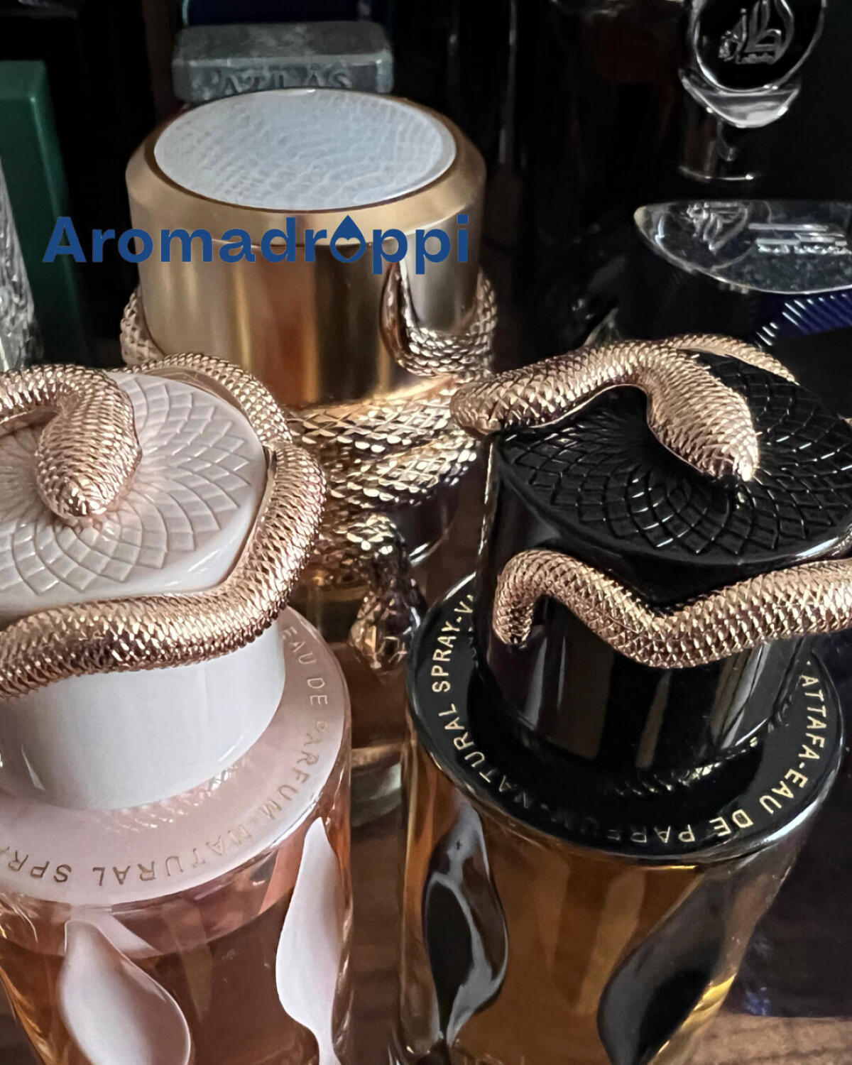 عطر ادکلن موسامام وایت اینتنس لتافا پرفیومز - Musamam White Intense Lattafa Perfumes - بررسی، قیمت و خرید