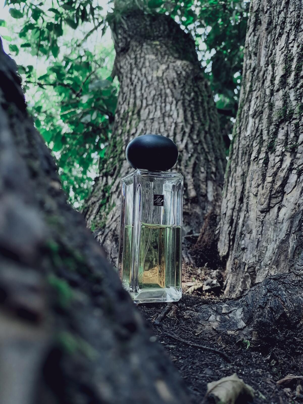 عطر ادکلن دارجلینگ تی جو مالون لندن - Darjeeling Tea Jo Malone London - بررسی، قیمت و خرید