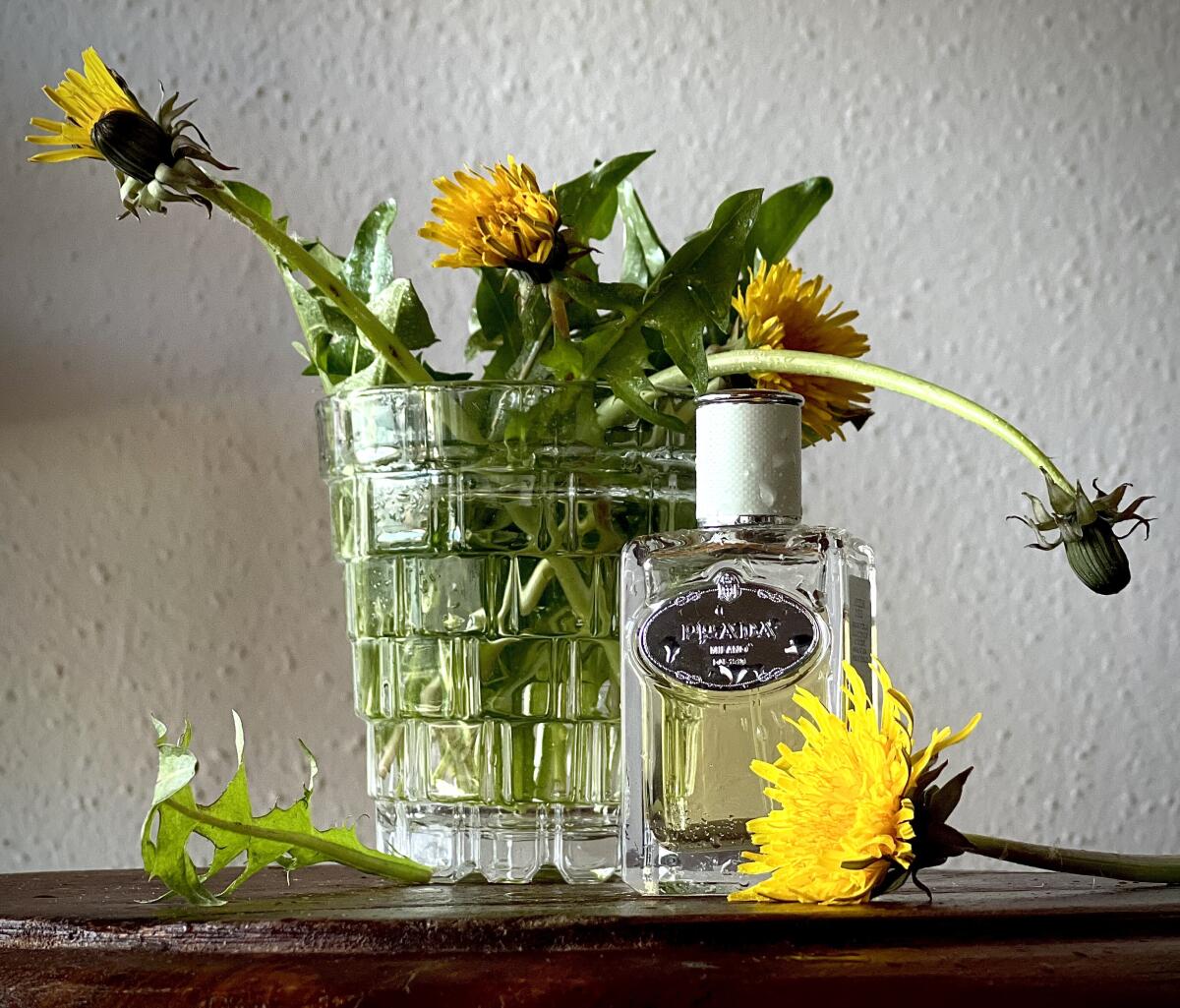 عطر ادکلن اینفیوژن دی آیریس پرادا - Infusion d'Iris Prada - بررسی، قیمت و خرید