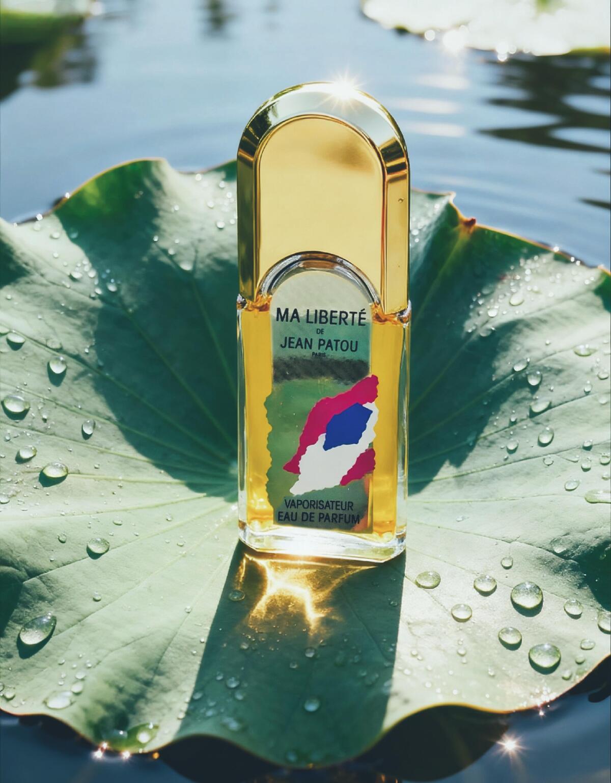 عطر ادکلن ما لیبرته ژان پاتو - Ma Liberte Jean Patou - بررسی، قیمت و خرید