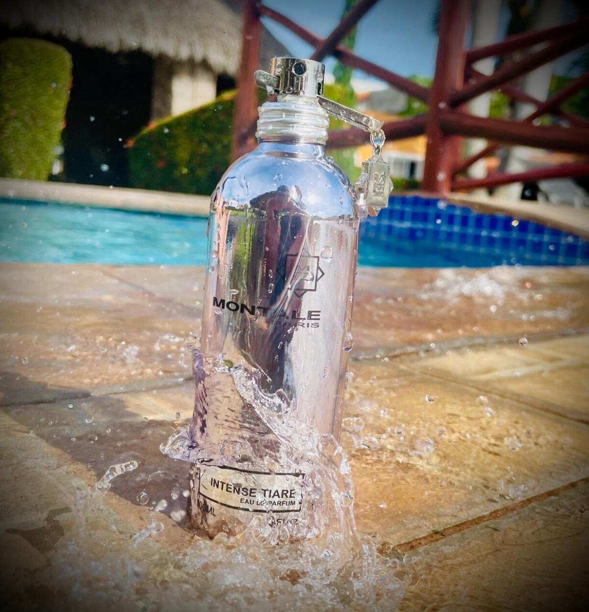 عطر ادکلن ایننس تیار مونتال - Intense Tiare Montale - بررسی، قیمت و خرید