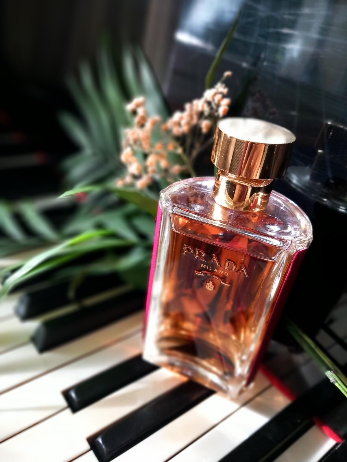 عطر ادکلن پرادا لا فم اینتنس پرادا - Prada La Femme Intense Prada - بررسی، قیمت و خرید