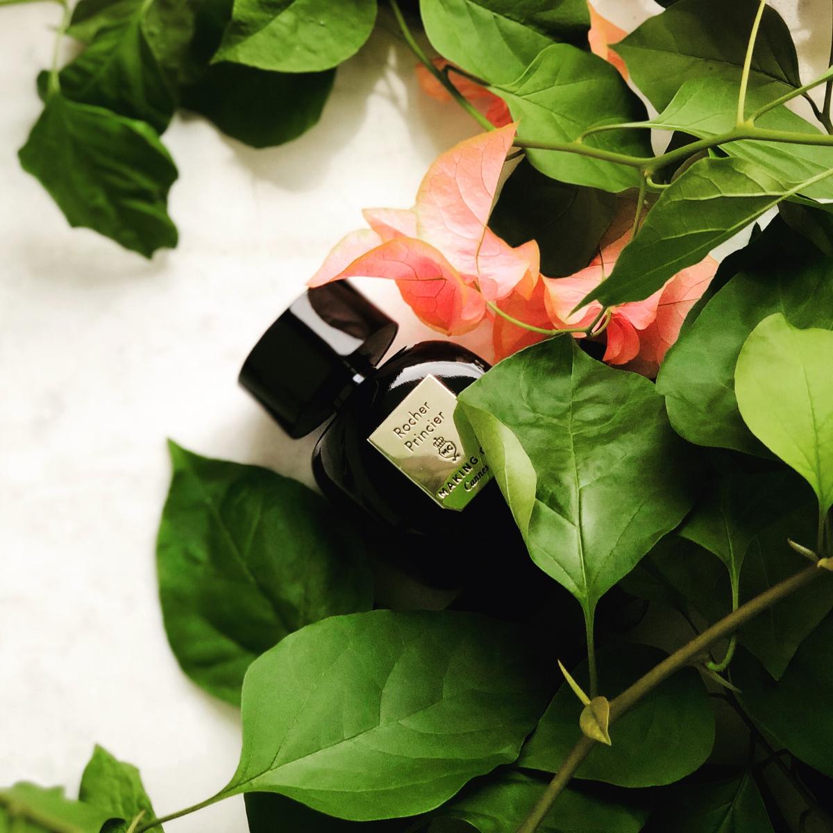 عطر ادکلن روشر پرنسیر مکینگ آو کنز - Rocher Princier Making of Cannes - بررسی، قیمت و خرید