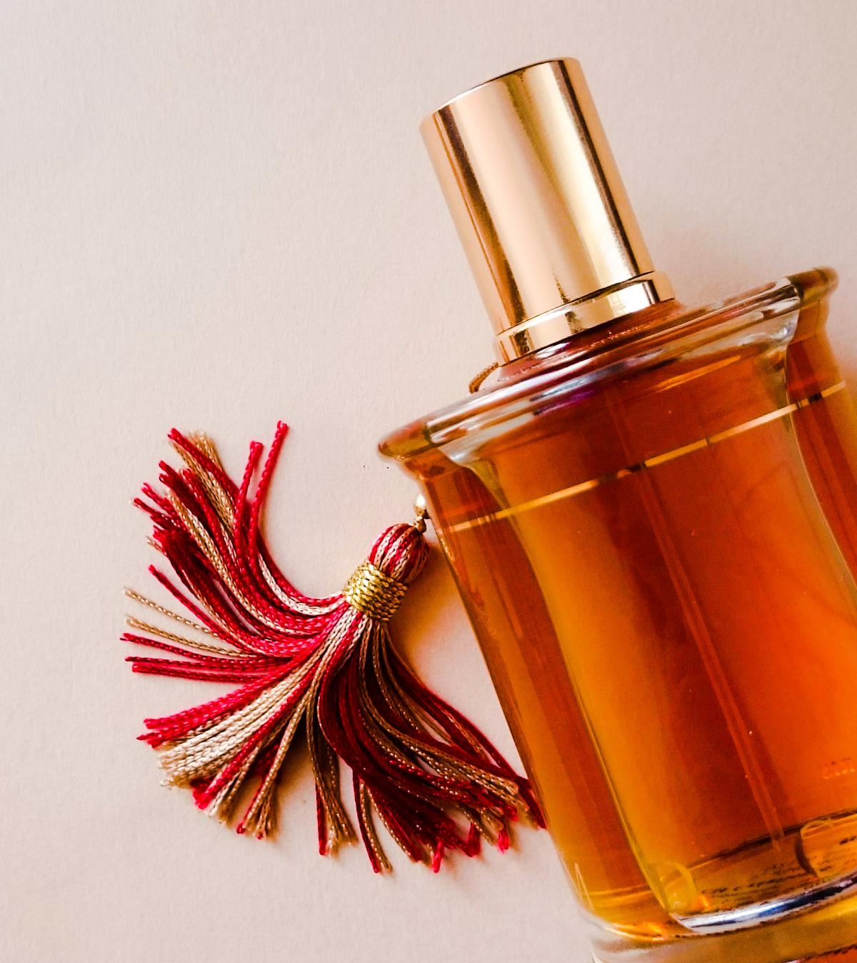 عطر ادکلن امبر توپکاپی ام دی سی آی پارفومز - Ambre Topkapi MDCI Parfums - بررسی، قیمت و خرید