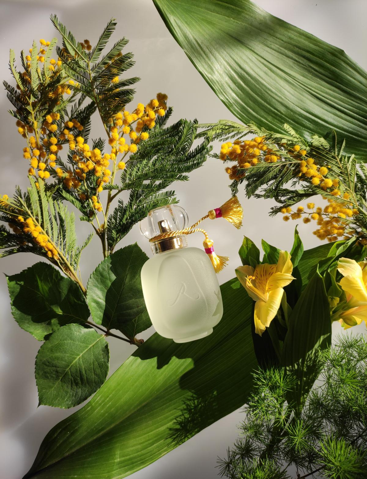 عطر ادکلن رز دته له پارفوم دو روزین - Rose d'Ete Les Parfums de Rosine - بررسی، قیمت و خرید