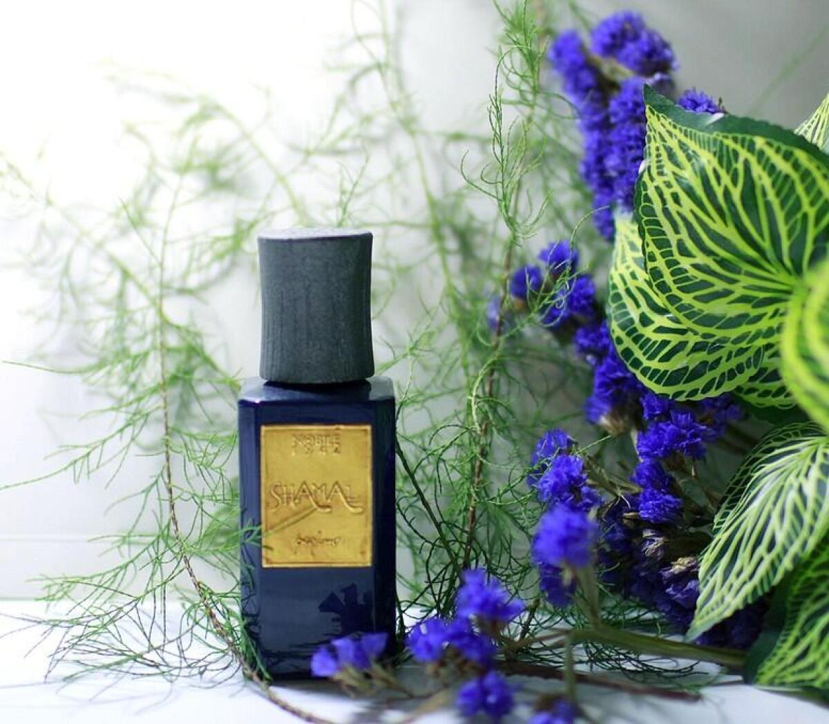 عطر ادکلن شمال نوبیل ۱۹۴۲ - Shamal Nobile 1942 - بررسی، قیمت و خرید