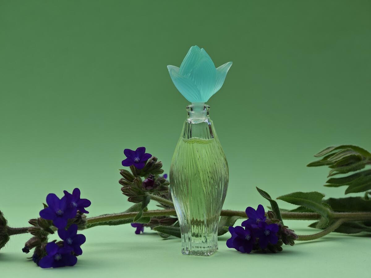 عطر ادکلن نیلانگ لالیک - Nilang Lalique - بررسی، قیمت و خرید